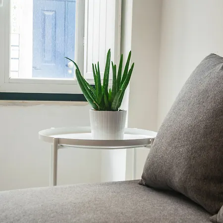 Santos Classic By Homing Apartment *