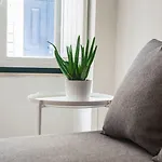 Santos Classic By Homing Apartament *